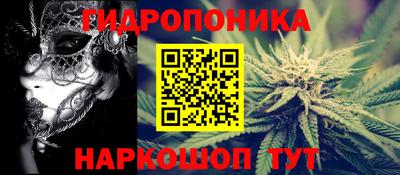 прущие грибы Пыть-Ях
