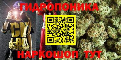 прущие грибы Пыть-Ях