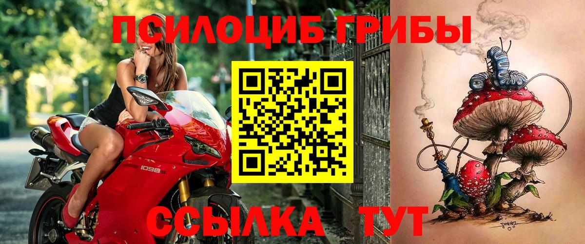 Галлюциногенные грибы GOLDEN TEACHER  наркошоп  Сердобск  Вход с VPN 