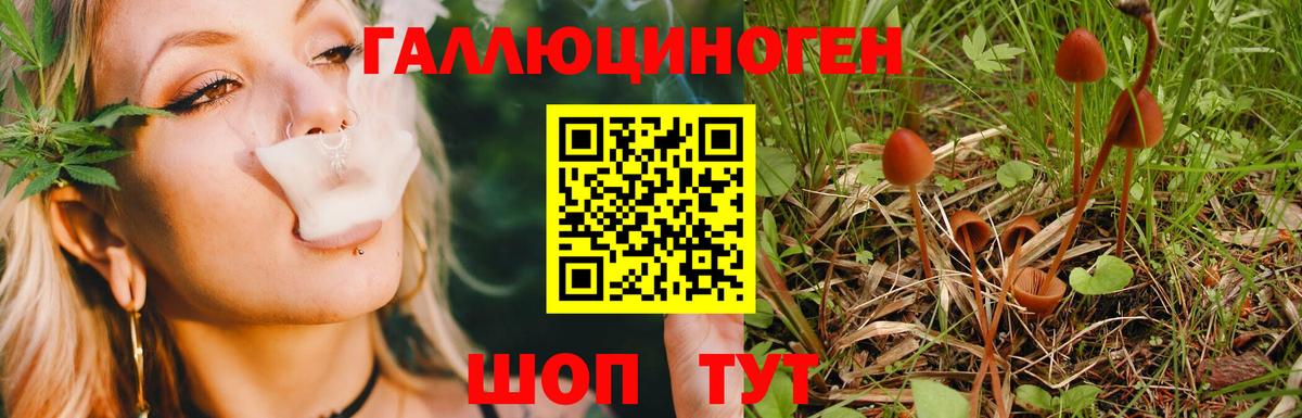 Галлюциногенные грибы мицелий Сердобск